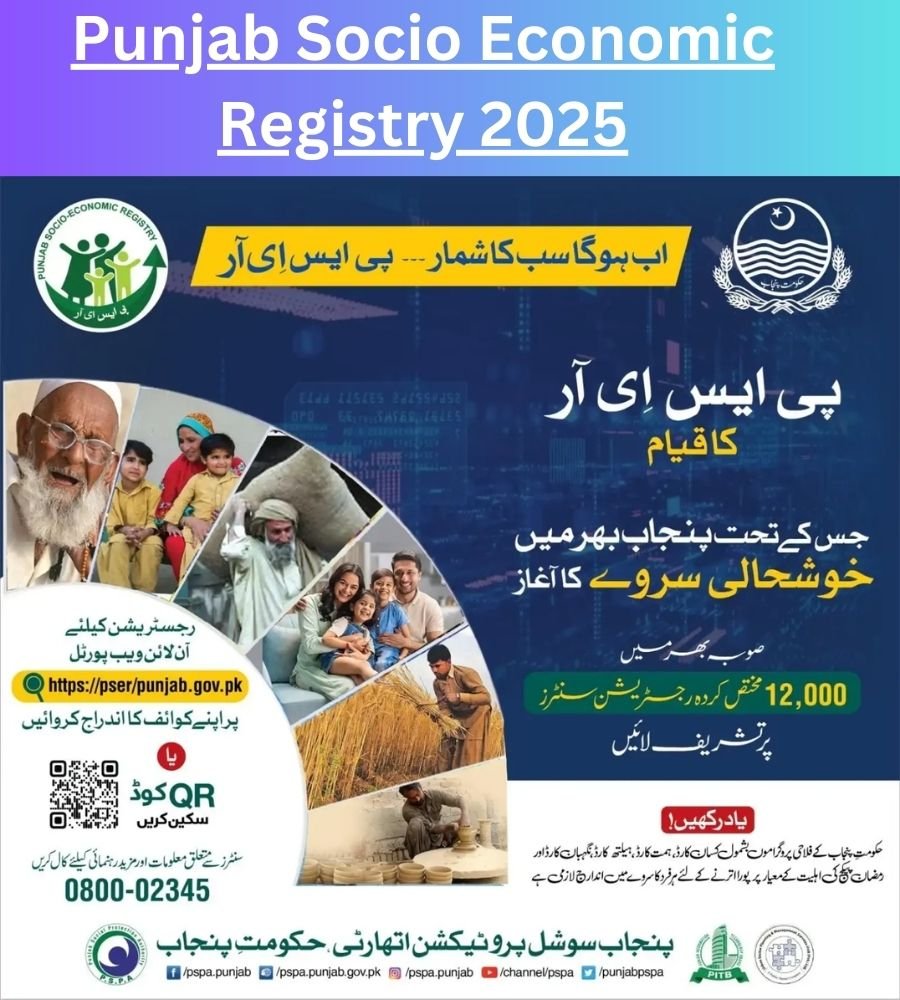 Punjab Socio Economic Registry 2025